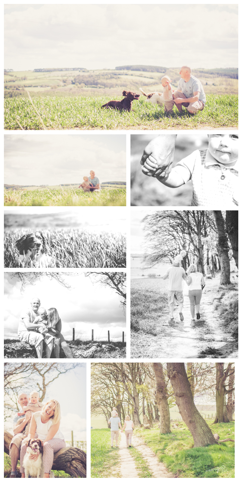 family portraits by unscripted photography