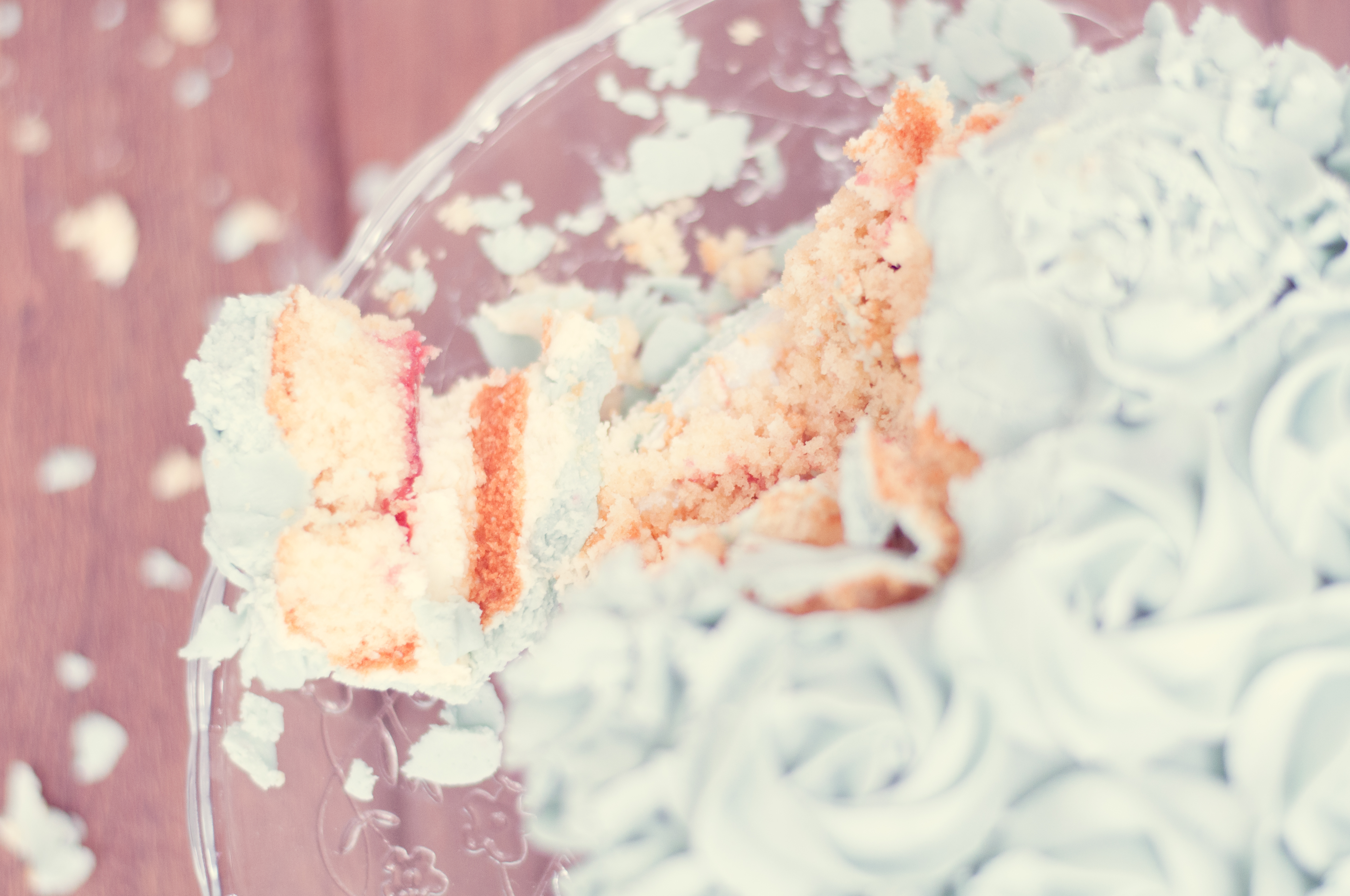 birthday party photography northumberland