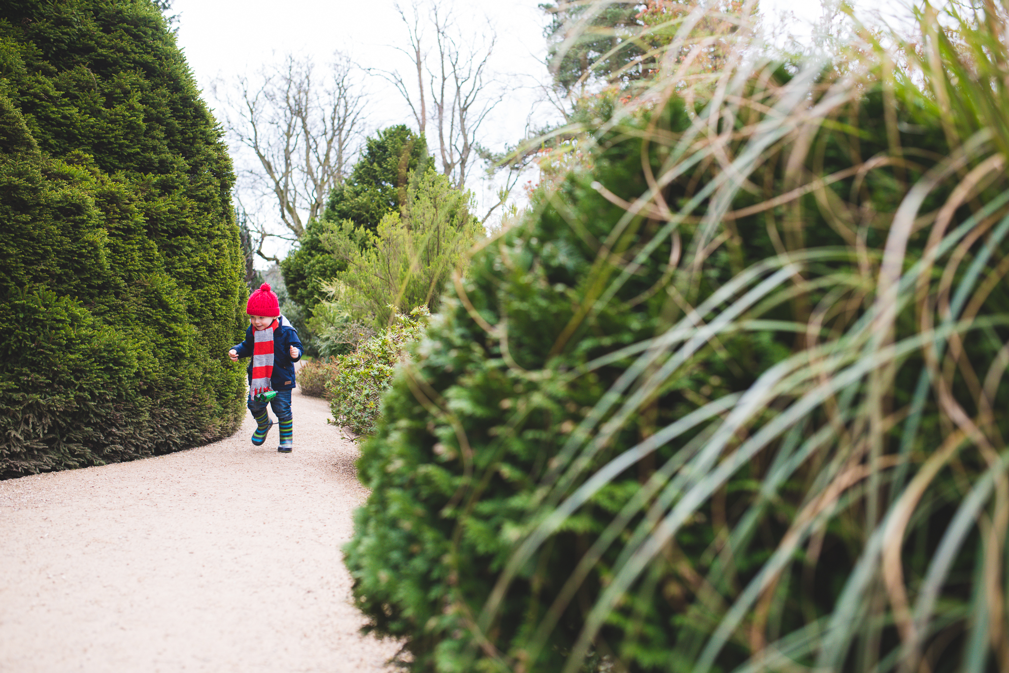 belsay hall and gardens, northumberland, photographer, child portraits, child photography northumberland, family portraits, family days out.