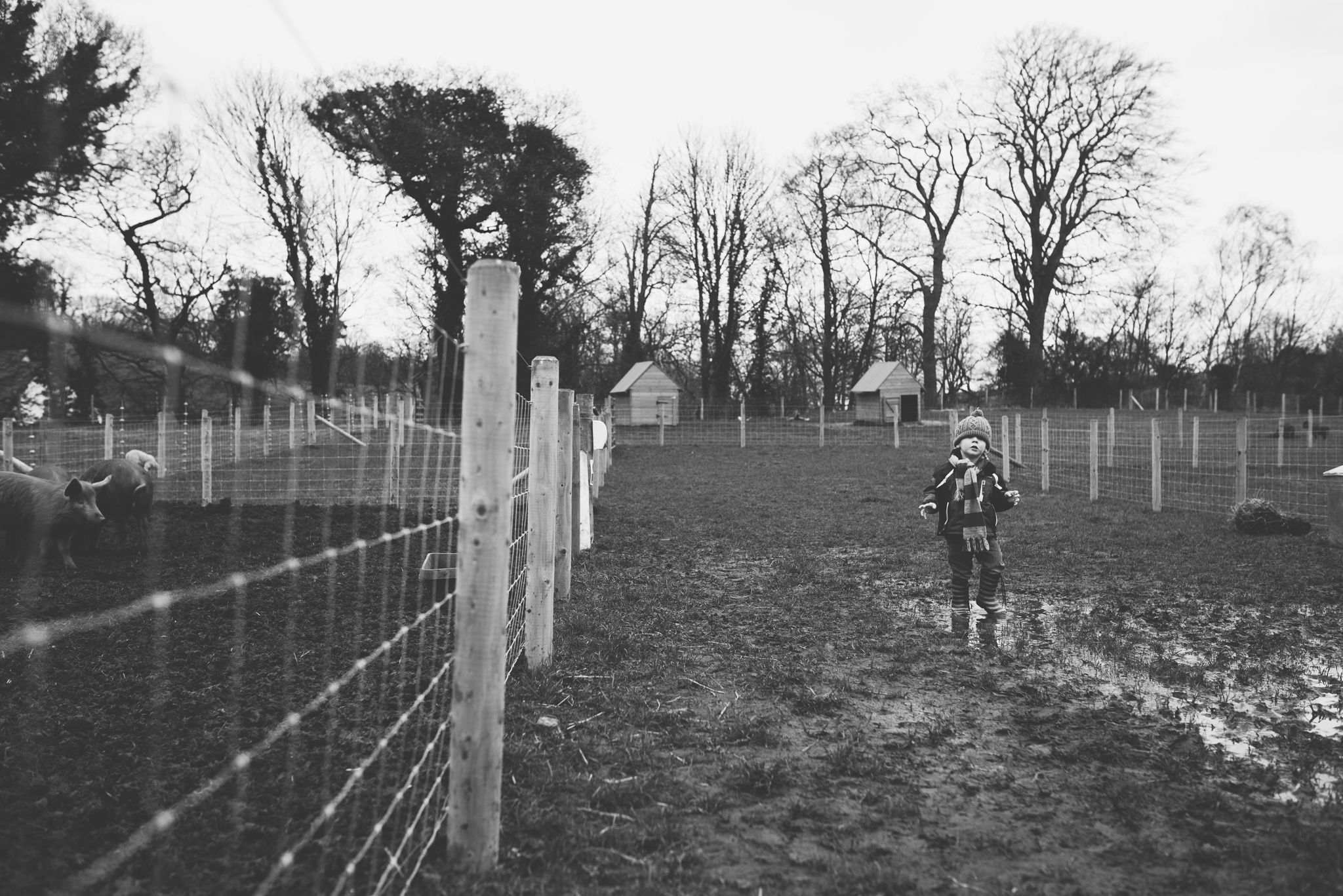 Daniel Farm Wylam, lifestyle photography, family photography, northumberland, newcastle, northeast UK