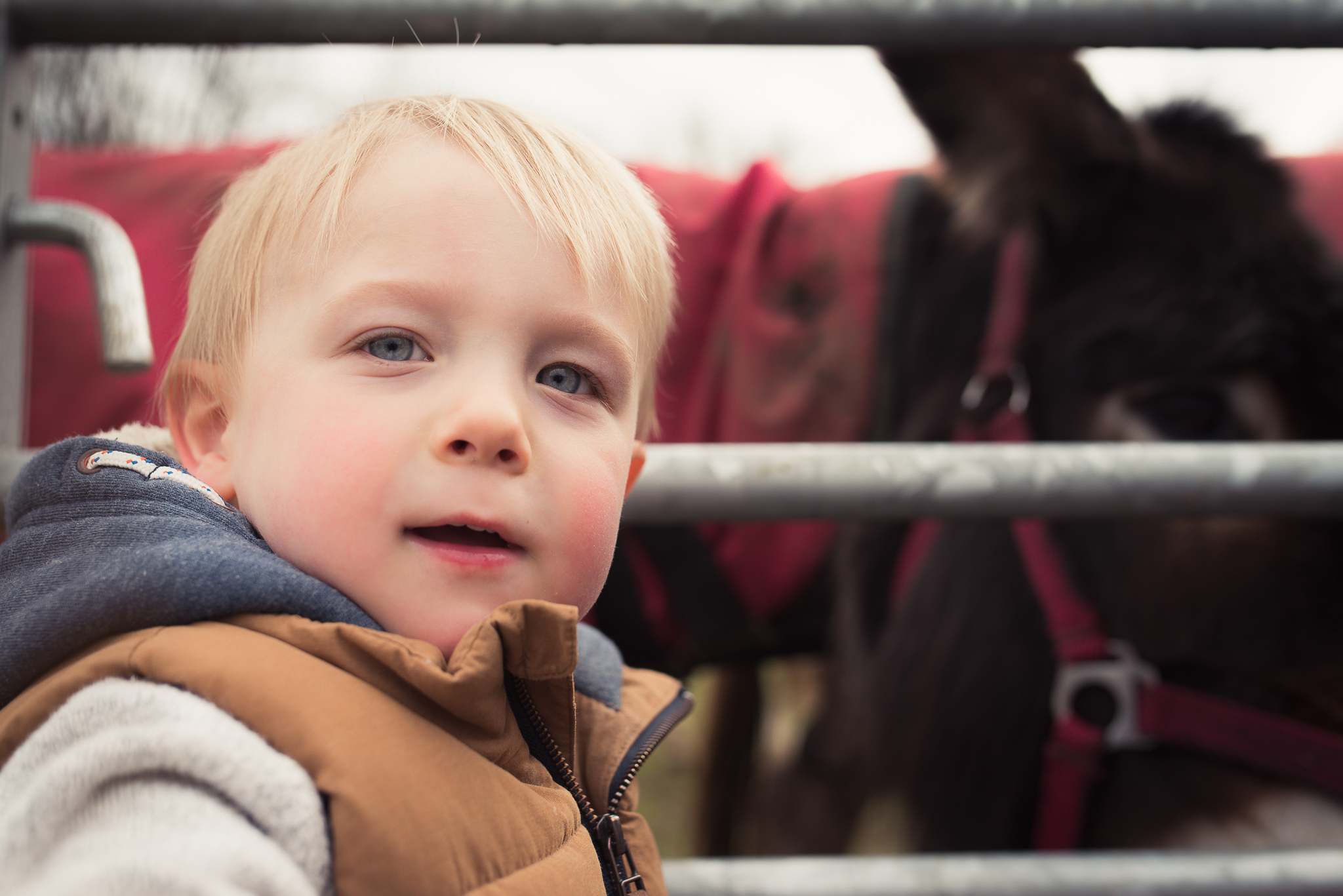Daniel Farm Wylam, lifestyle photography, family photography, northumberland, newcastle, northeast UK