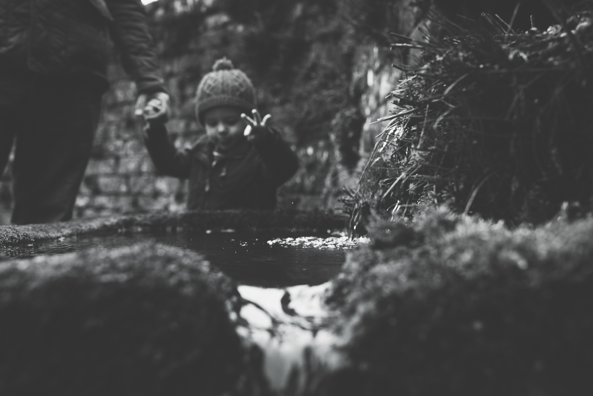wallington hall northumberland review, photographer newcastle, family and child portraits