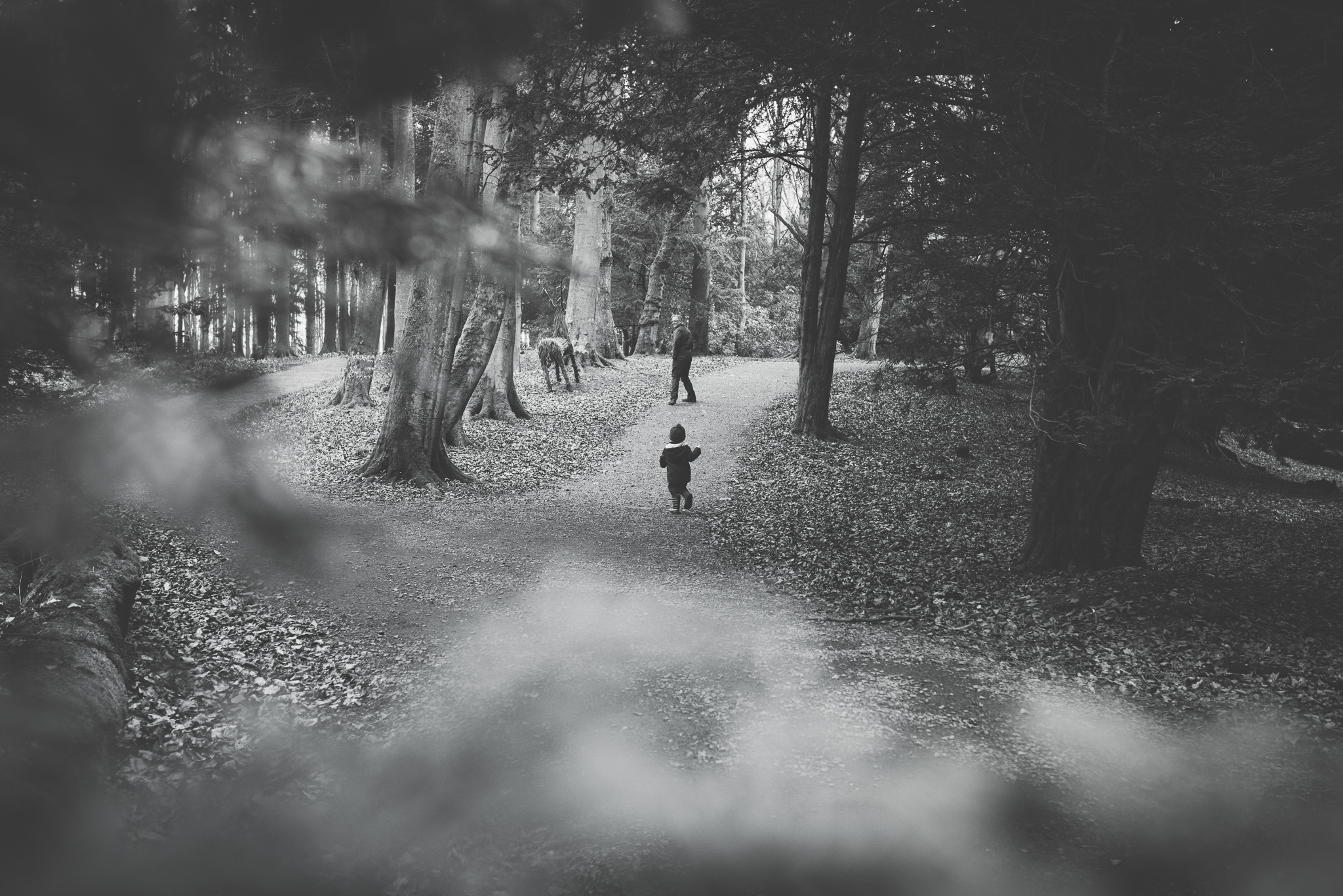 wallington hall northumberland review, photographer newcastle, family and child portraits