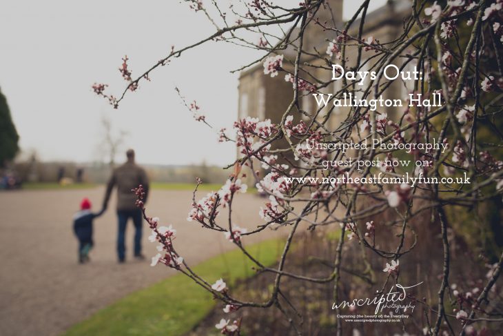 wallington hall northumberland review, photographer newcastle, family and child portraits