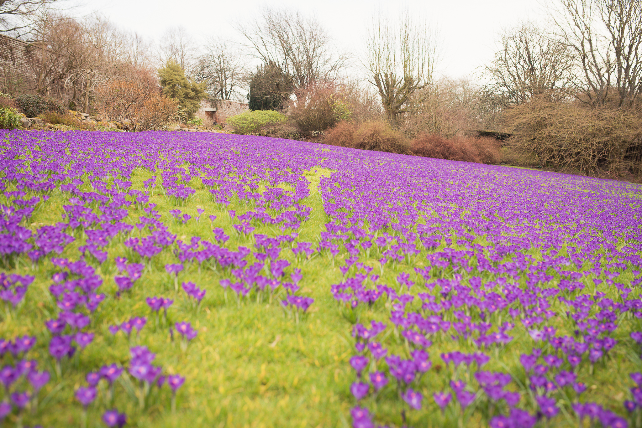 wallington hall northumberland review, photographer newcastle, family and child portraits