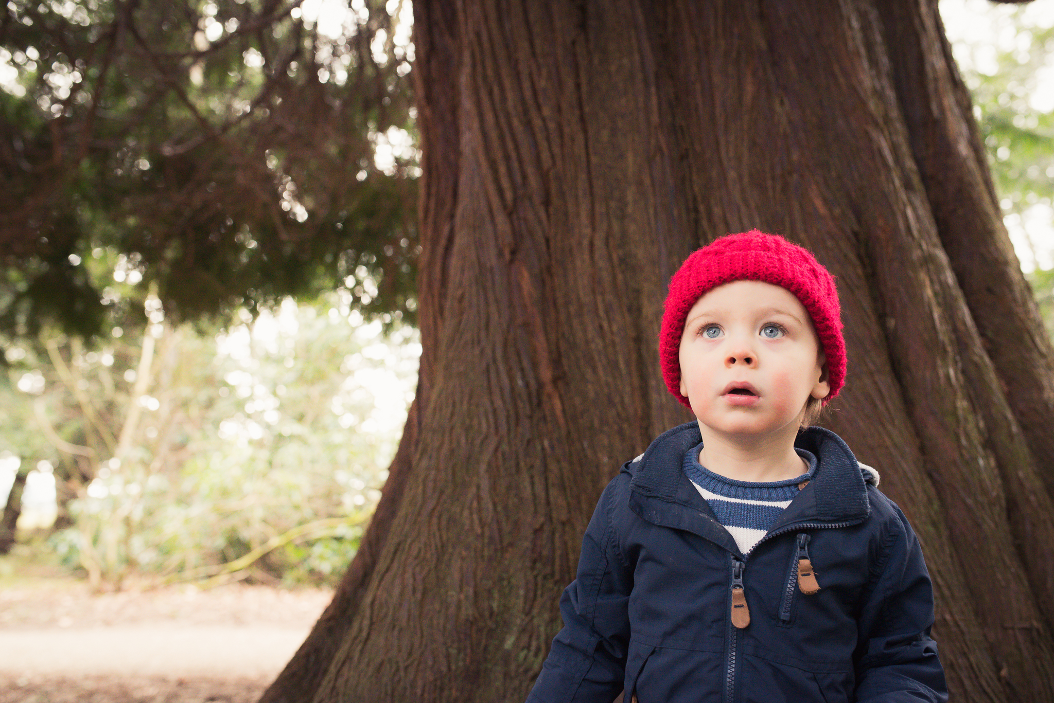 wallington hall northumberland review, photographer newcastle, family and child portraits