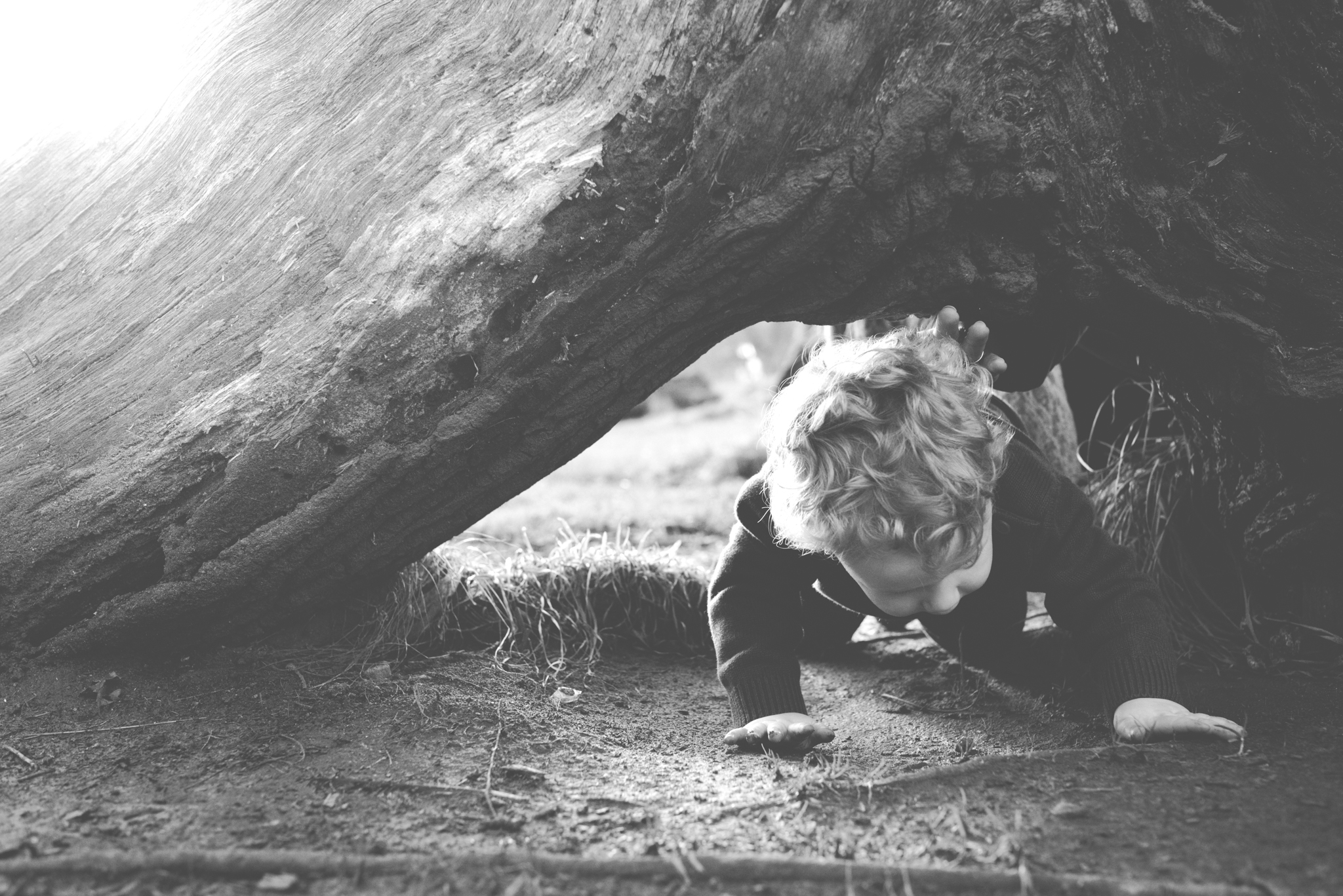 unscripted-photography_hayles_lr_73 family documentary photographer northumberland, Bolam Lake Northumberland