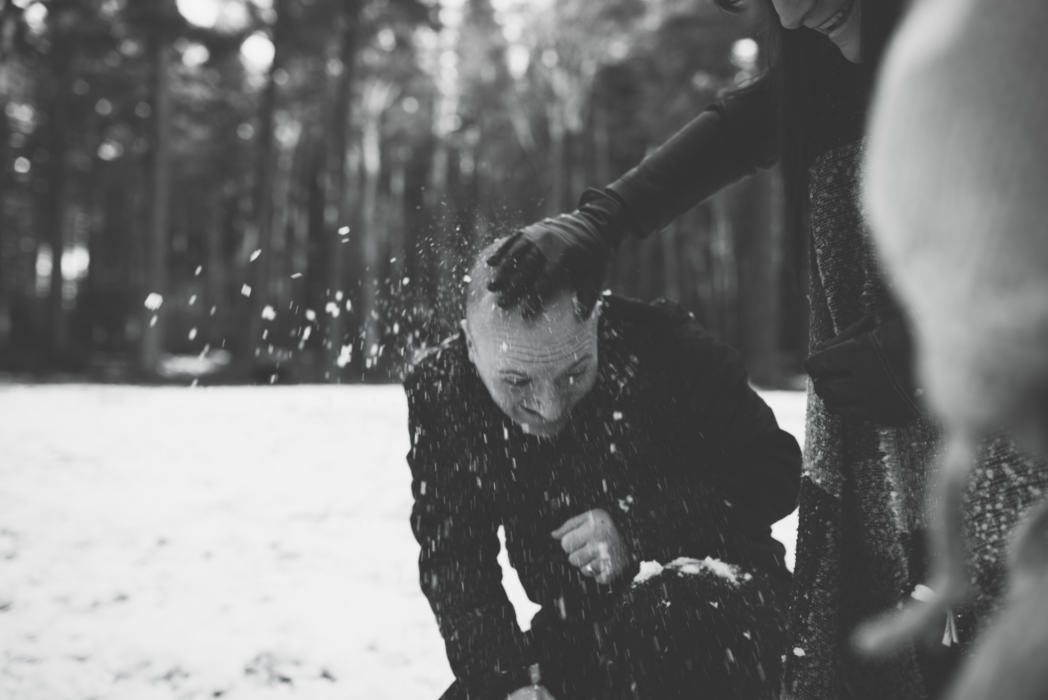unscripted-photography_townsend_lr_16 family portraits; family photographer newcastle, chopwell woods, documentary photographer, northumberland
