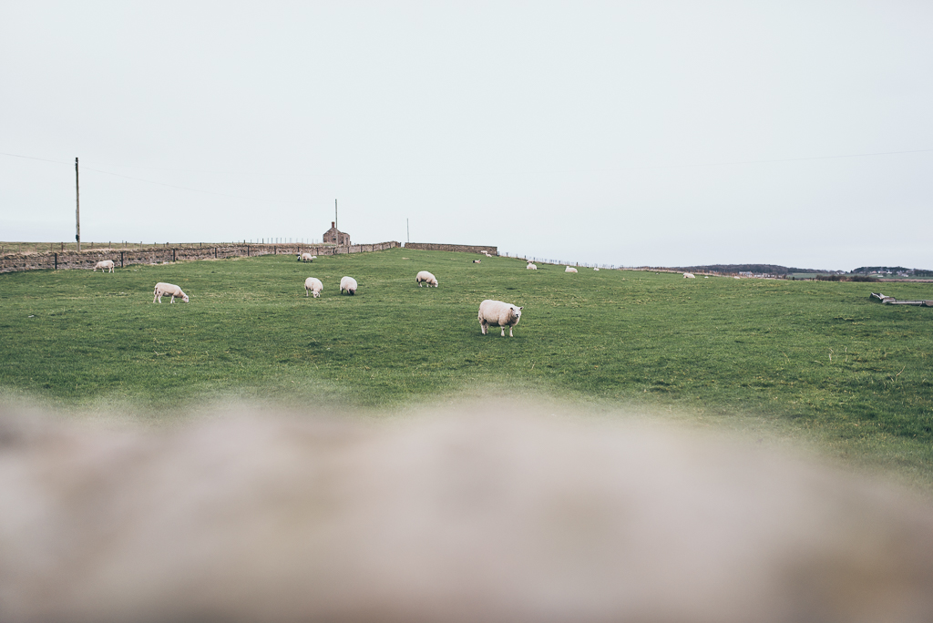 Unscripted Photography - Documentary and Portrait Photographer based in Northeast UK barn on the bay, druridge bay, beach wedding northumberland, barn wedding northumberland, festival wedding northumberland, wedding photographer northumberland