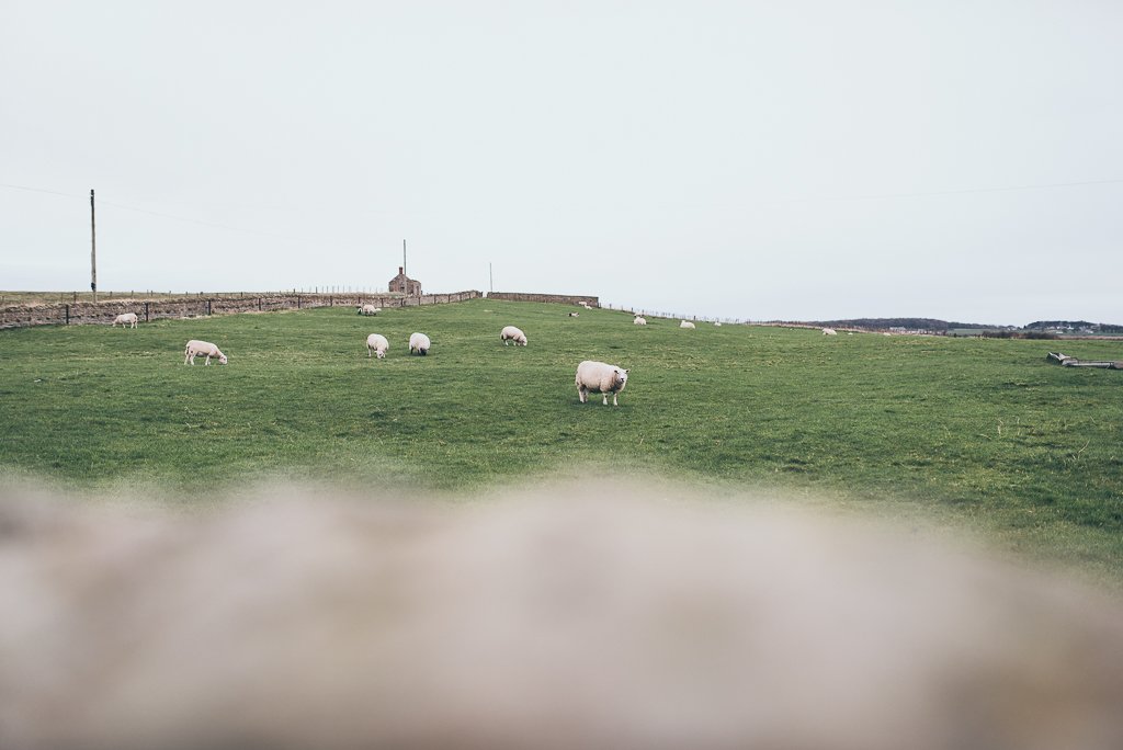 Unscripted Photography - Documentary and Portrait Photographer based in Northeast UK barn on the bay, druridge bay, beach wedding northumberland, barn wedding northumberland, festival wedding northumberland, wedding photographer northumberland