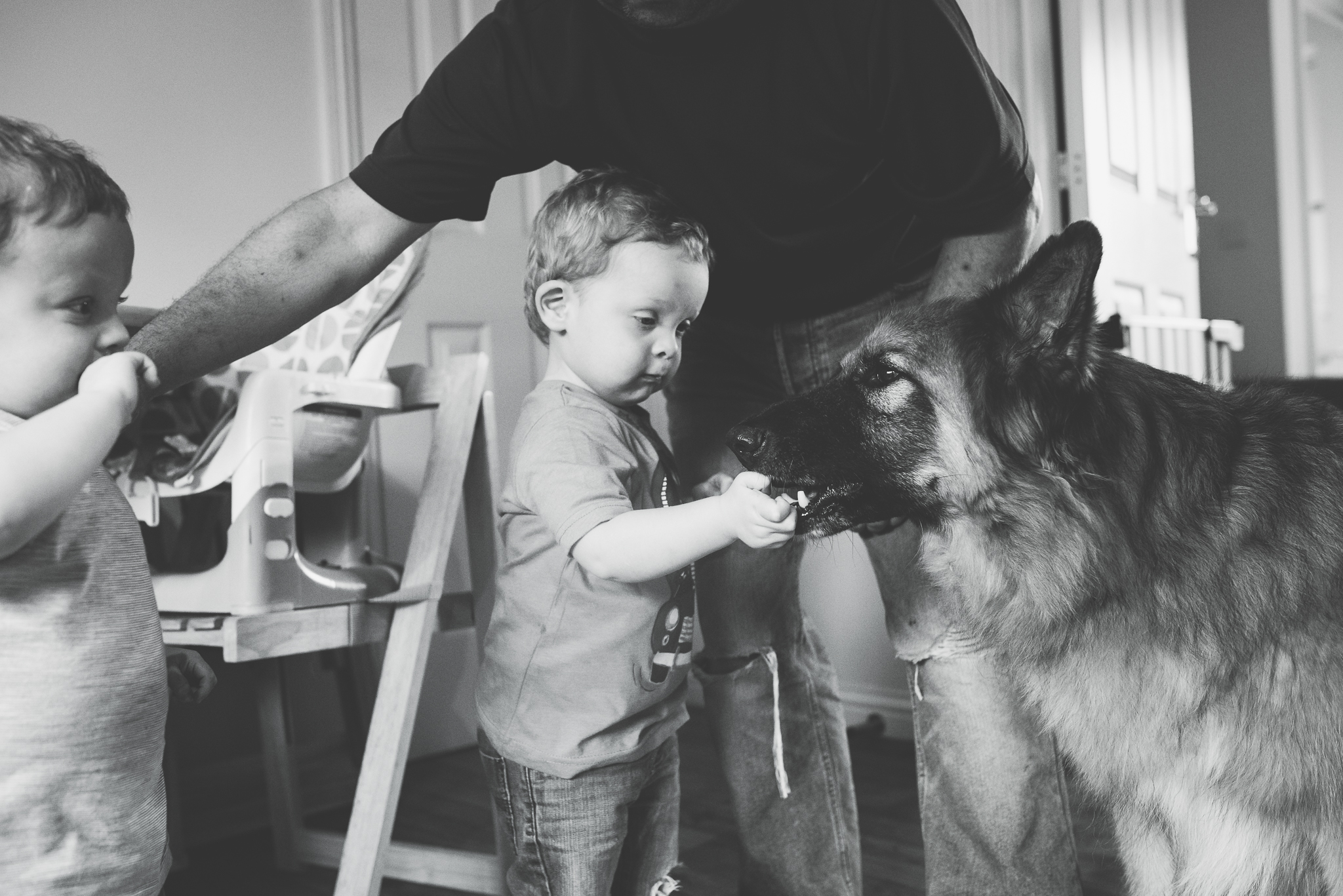 documentary family photographer lincoln, family photographer lincolnshire, documentary photographer lincoln