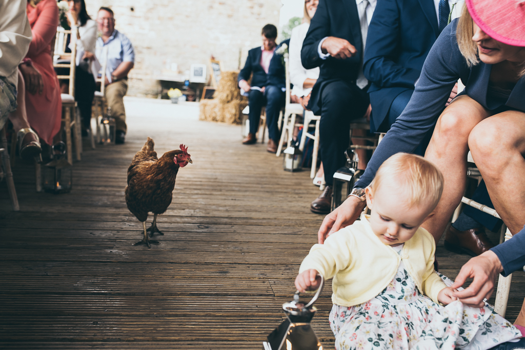 choosing the right wedding photographer - chickens in wedding aisle