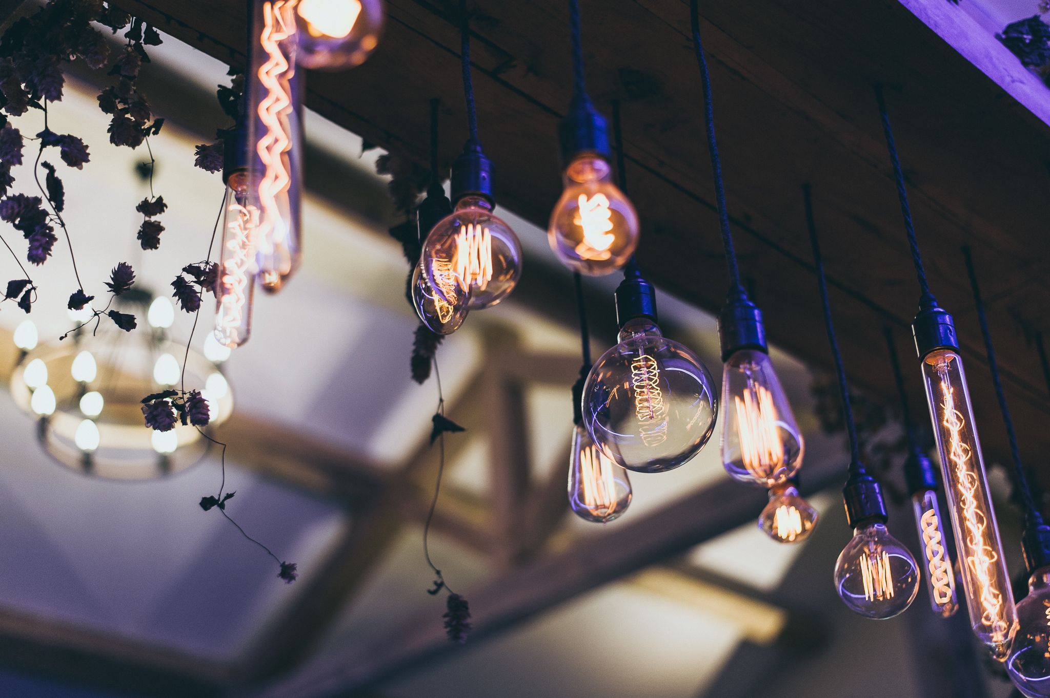 Festoon Lighting