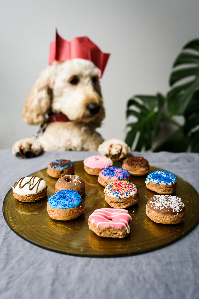 brand photography for not on the high street