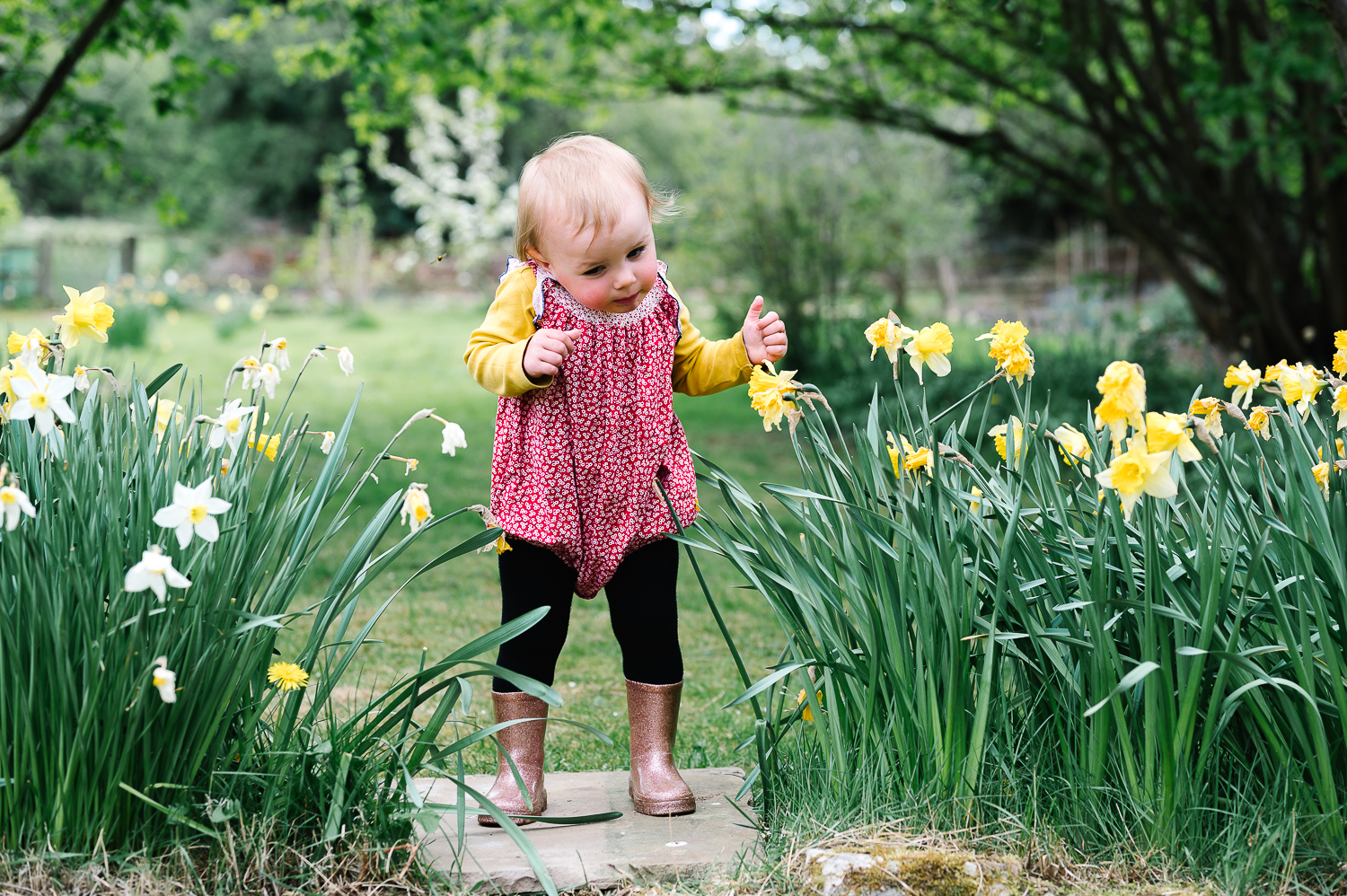lockdown stories batey-37 little girl in daffodils chased by bee