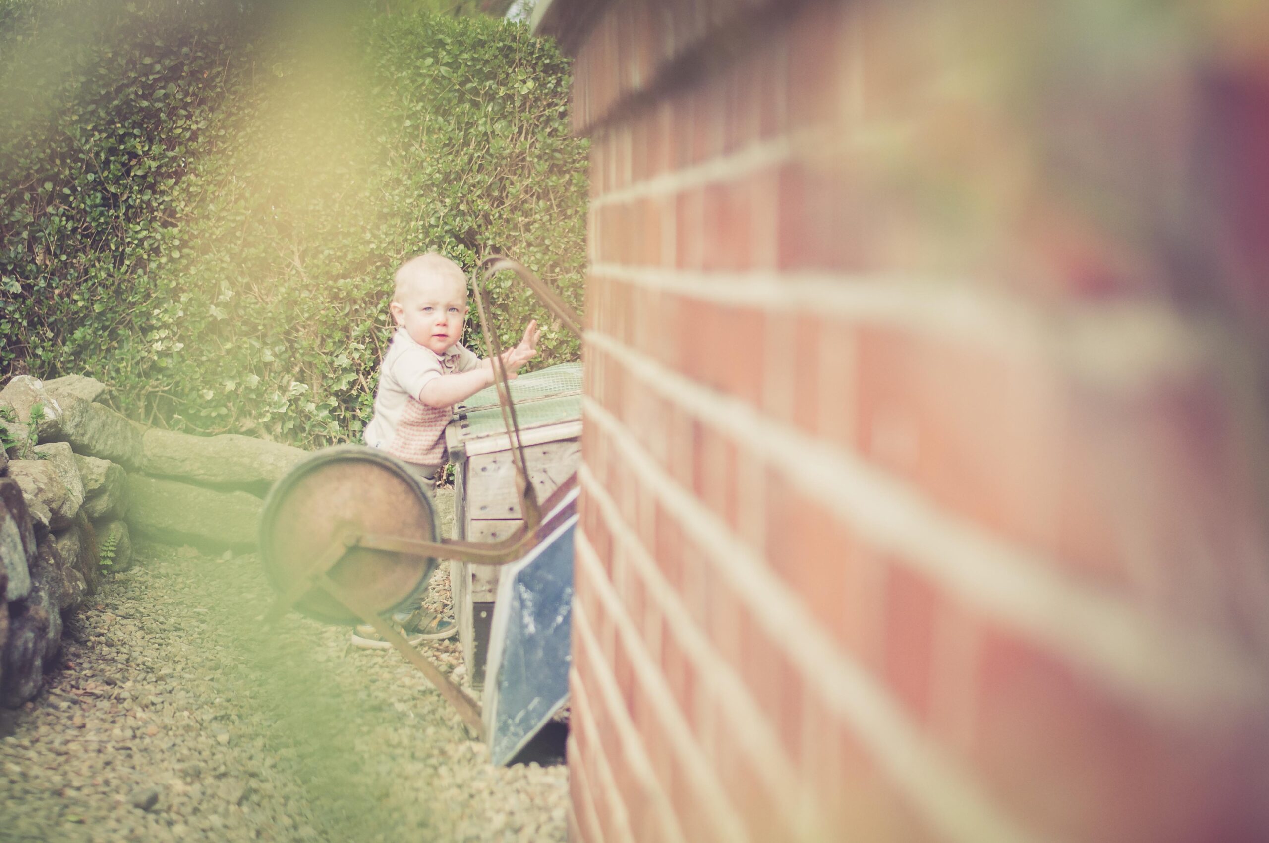 boy looking at small greenhouse