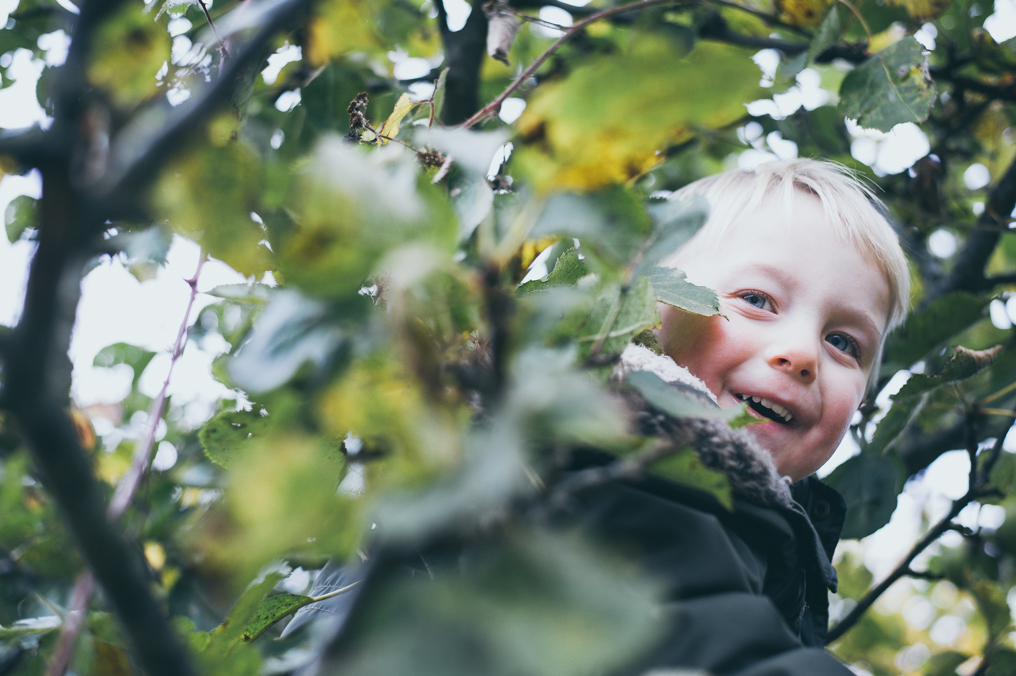 boy hiding in tree Slaley