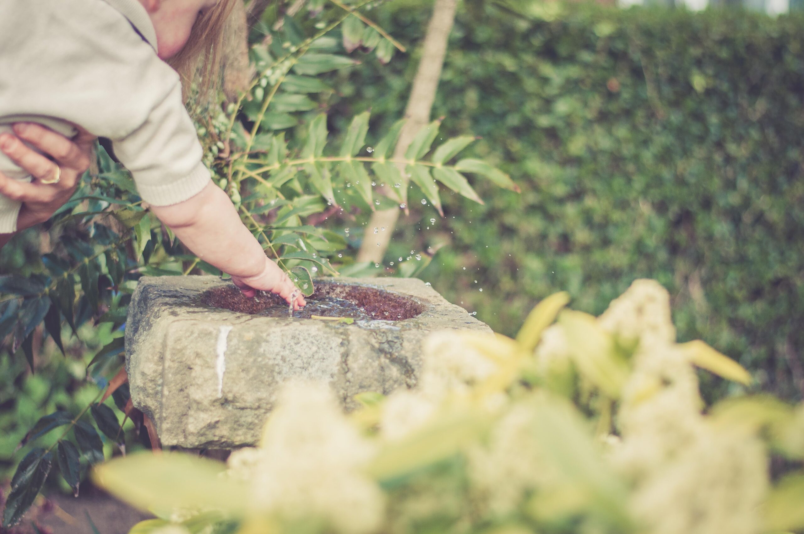boy patting water in birdbath