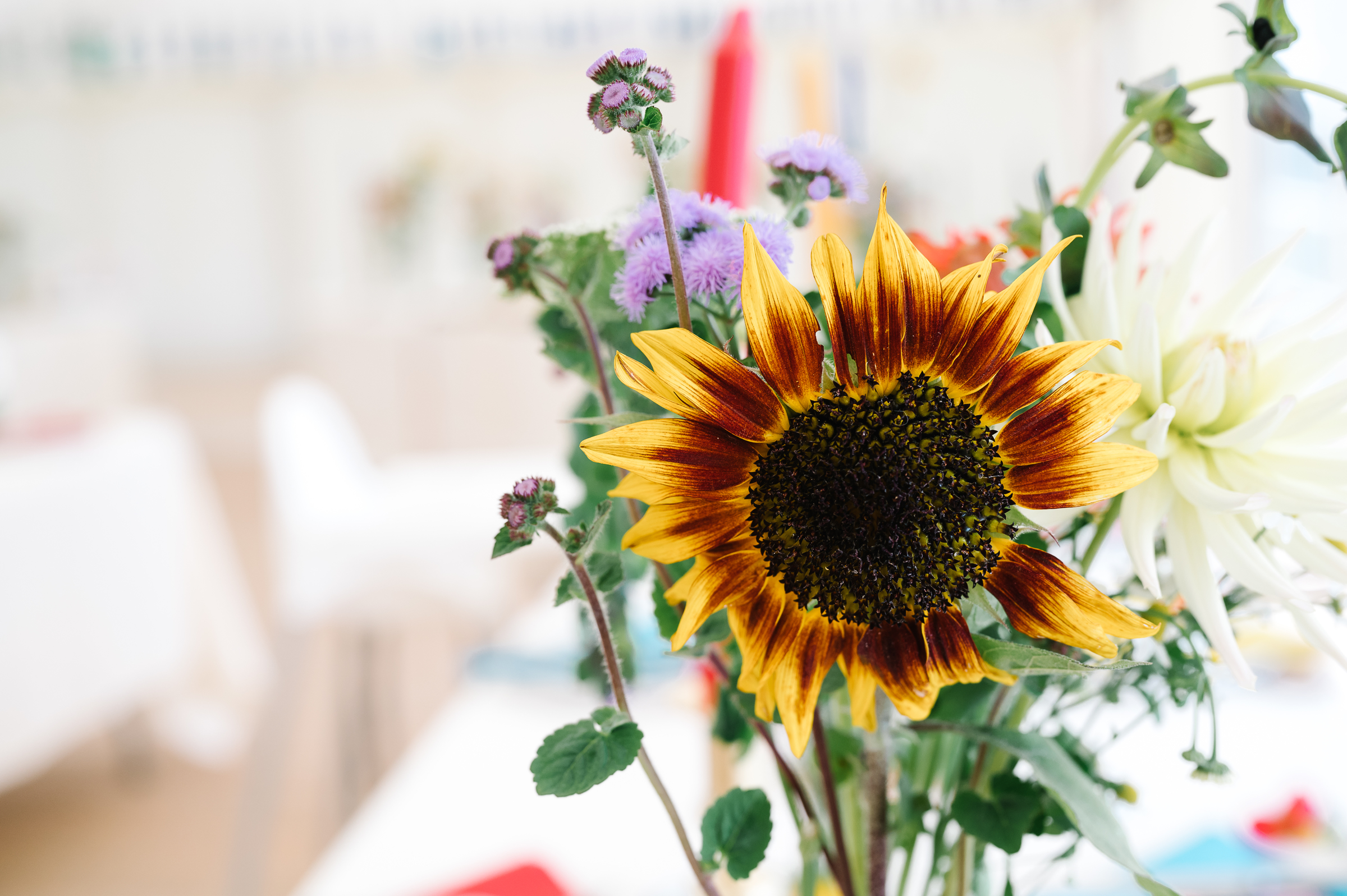 sunflower wedding photographer